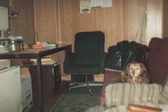 Sheeba in the office at Lindsay Avenue, High Wycombe - circa 1985